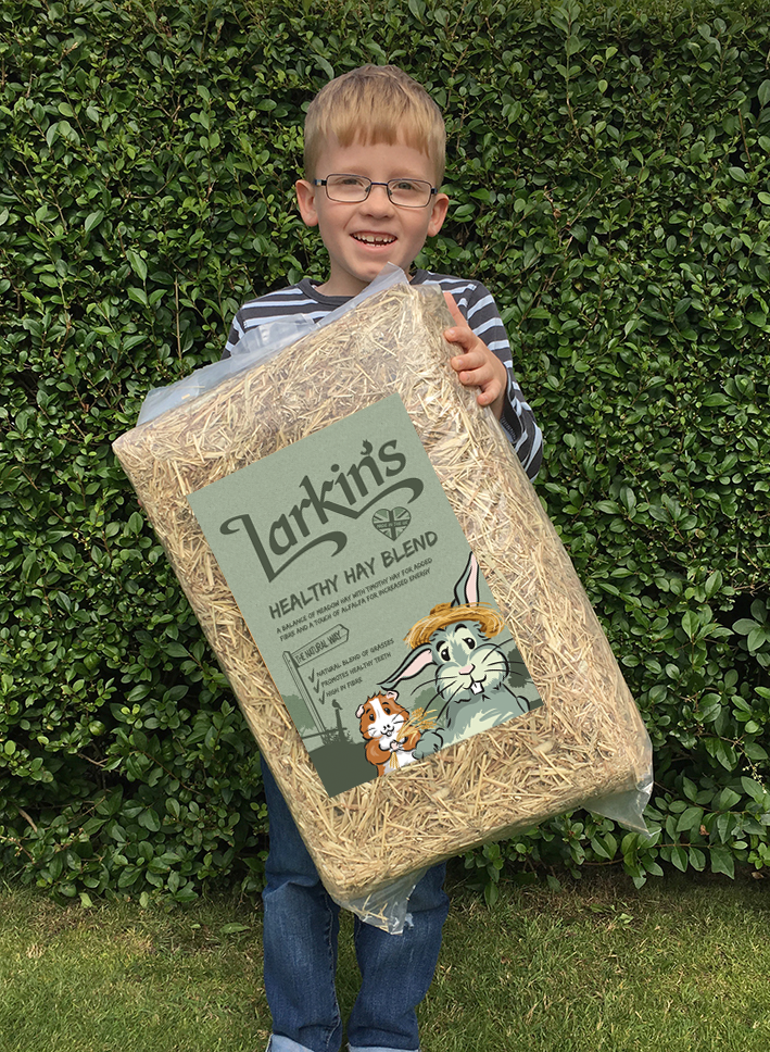 Larkins Healthy Hay Blend