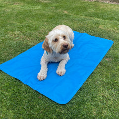 Sparky and Spud Dog Cool Pad 90cm x 60cm