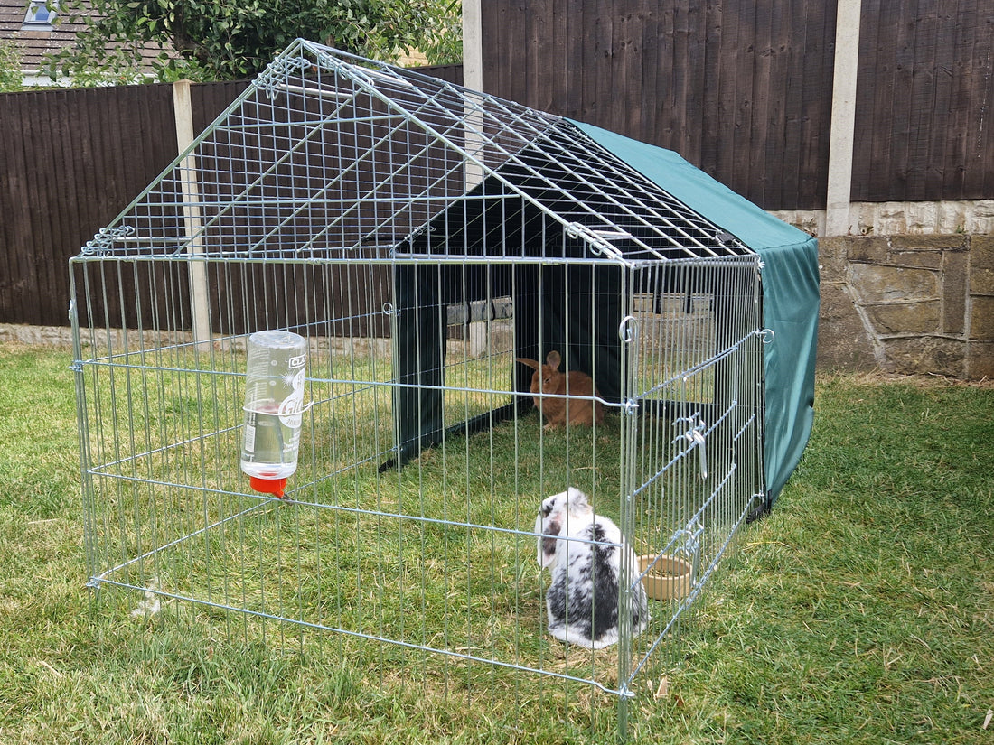 Rabbit Hutch Setup – a Scratch and Newton Guide