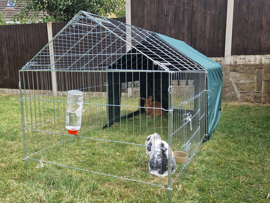 Rabbit Hutch Setup – a Scratch and Newton Guide