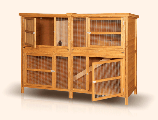 Rabbit Hutch Setup – a Scratch and Newton Guide