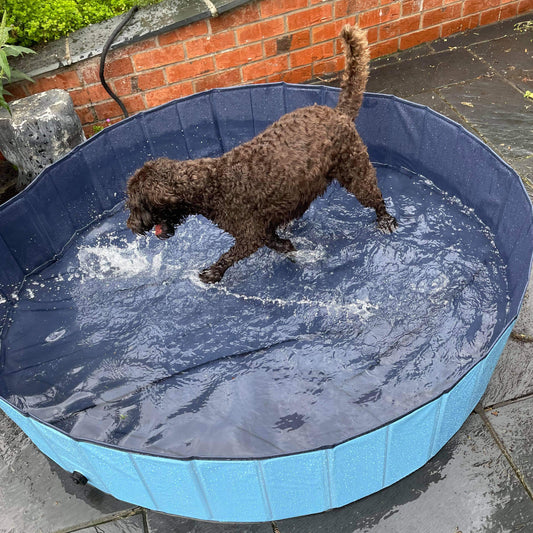 Sparky And Spud Dog Cool Pool 160cm x 30cm